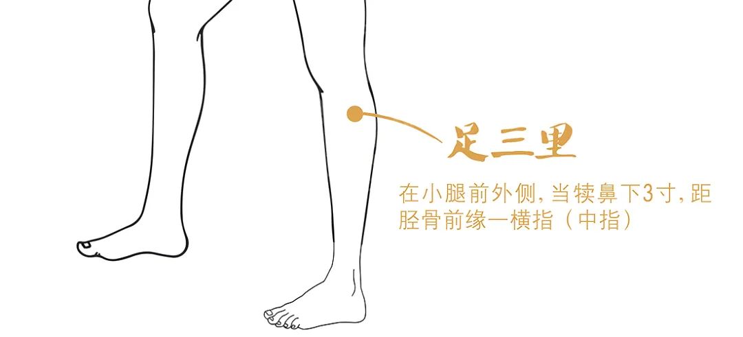 健身营养补剂大全_不吃营养品的健身方法_健身营养品怎么吃
