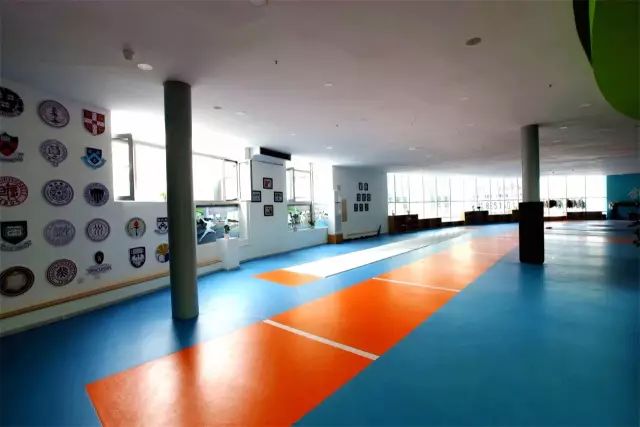 辽宁幼儿击剑比赛冠军视频_儿童击剑比赛冠军_辽宁击剑协会