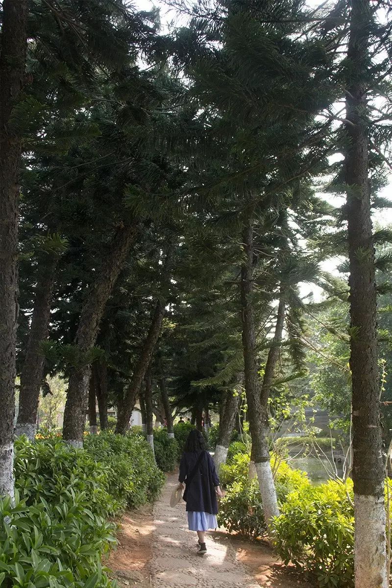 婚纱照复古风格种类图片大全_婚纱照复古风_复古外景婚纱照山景