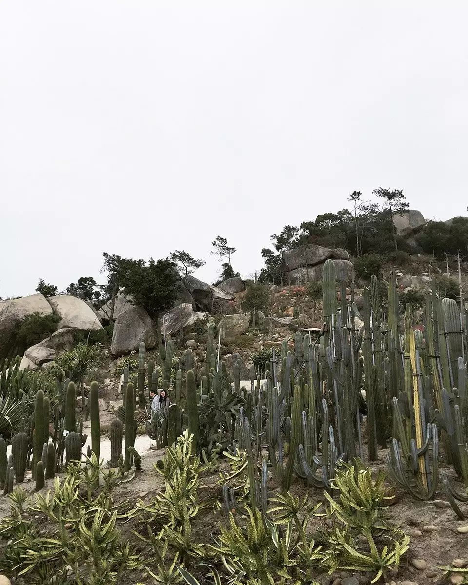 婚纱照复古风格种类图片大全_婚纱照复古风_复古外景婚纱照山景