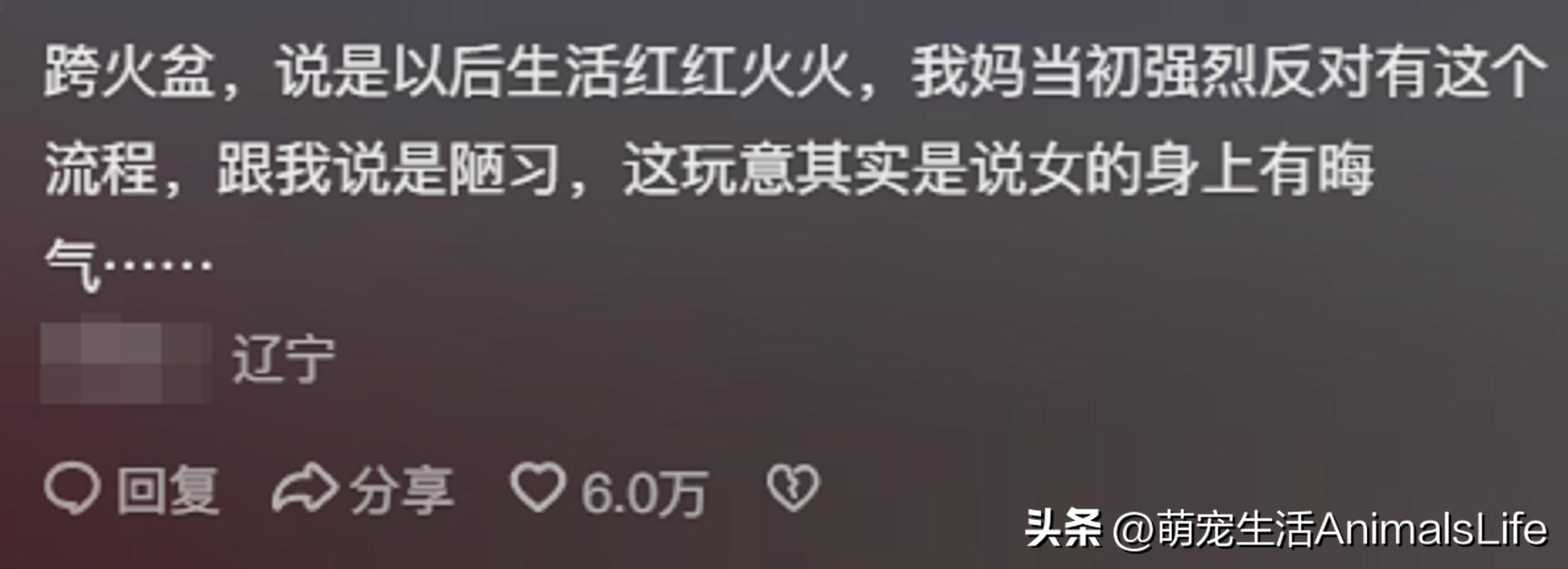 恐怖的婚礼的视频_恐怖婚礼电影_恐怖婚礼的习俗