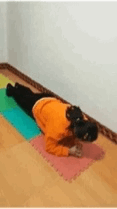 篮球中背打什么意思_篮球规则中背打是什么_篮球规则背打中是犯规吗