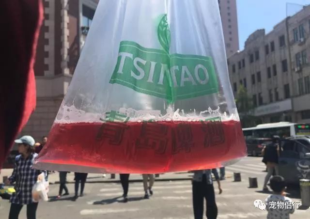 青岛婚纱照什么时间拍比较好_青岛拍婚纱照最佳时间_青岛拍婚纱照几月份合适