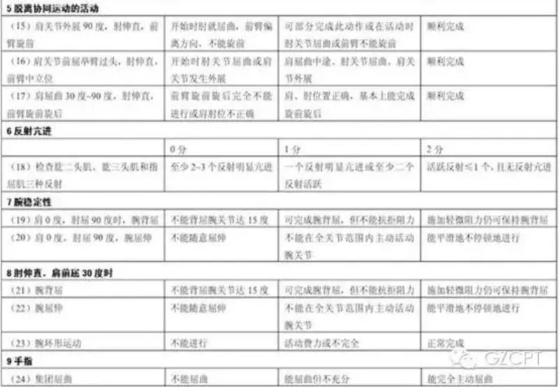评定运动功能的标准_运动功能评定_评定运动功能的课题名称