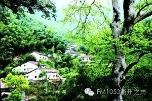 衢州婚纱店_外景婚纱照衢州_外景婚纱拍照姿势