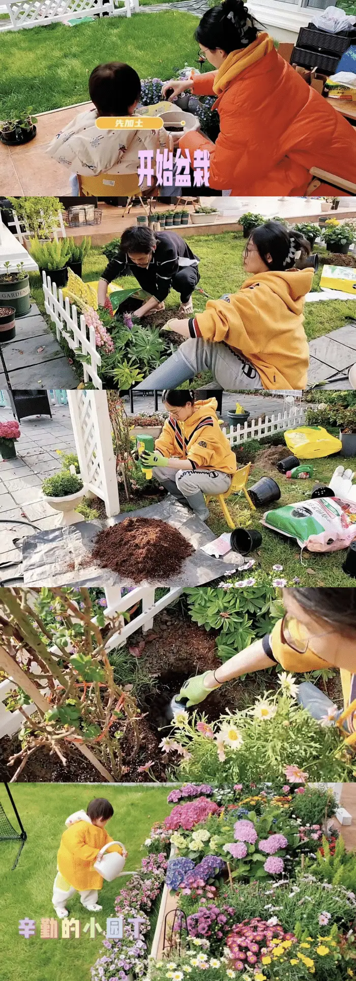 苗苗郑恺婚戒_郑恺跟苗苗拍婚纱照是真的吗_郑恺帮苗苗选婚纱