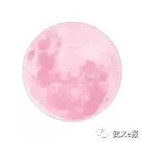 冠军篮球经理2全屏_武义范围篮球_武义城市社区篮球赛冠军
