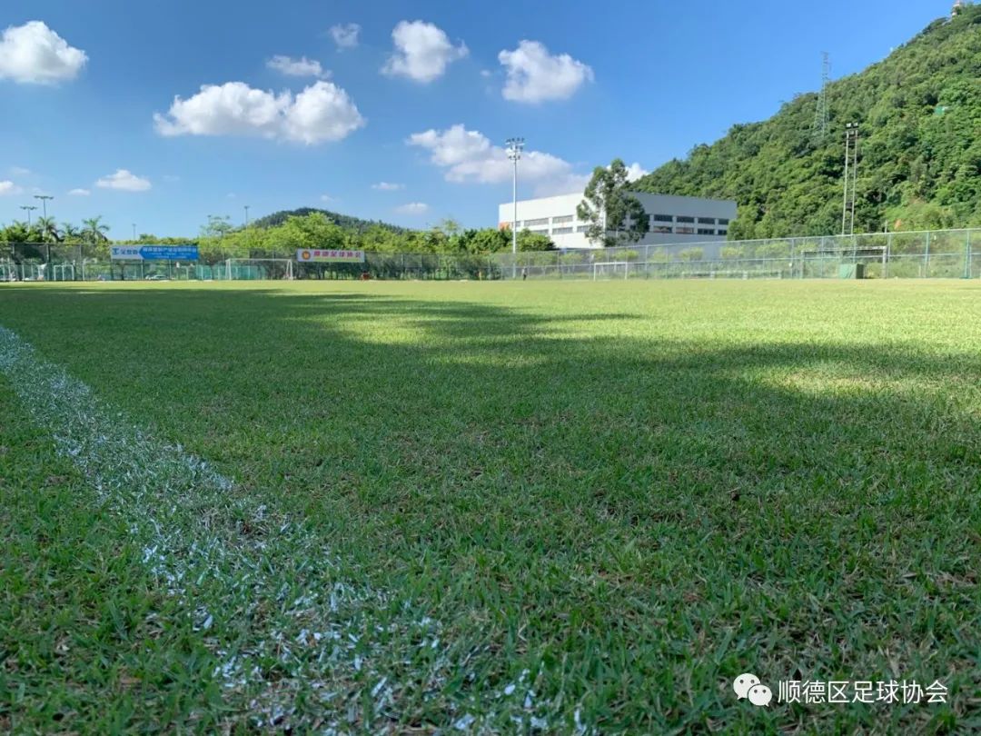 足球比赛全部规则_足球规则比赛场地_足球比赛9人对12人的规则