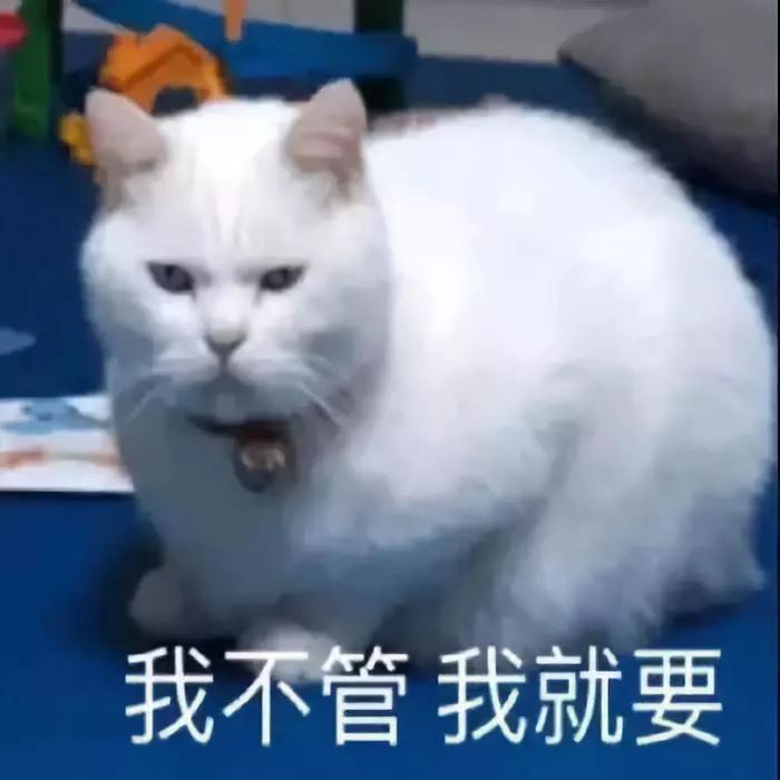 广东省三人篮球赛冠军_广东长隆三人篮球队青年联赛冠军_广东省三人篮球锦标赛