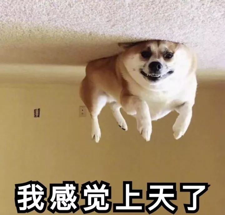 广东省三人篮球锦标赛_广东长隆三人篮球队青年联赛冠军_广东省三人篮球赛冠军